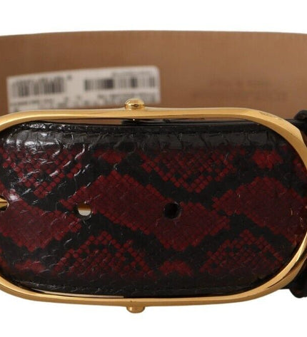 Dolce & Gabbana Elegant Red Python Leather Belt with Gold Buckle