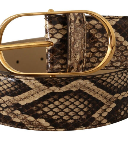 Dolce & Gabbana Elegant Phyton Leather Belt with Gold Buckle