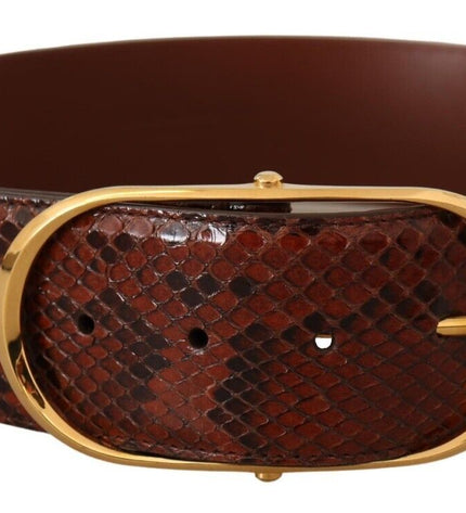 Dolce & Gabbana Elegant Python Snake Skin Leather Belt