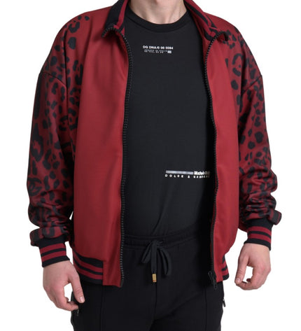 Dolce &amp; Gabbana Kırmızı Leopar Desenli Bomber Ceket