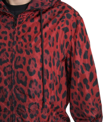 Dolce &amp; Gabbana Kırmızı Leopar Kapüşonlu Bomber Ceket