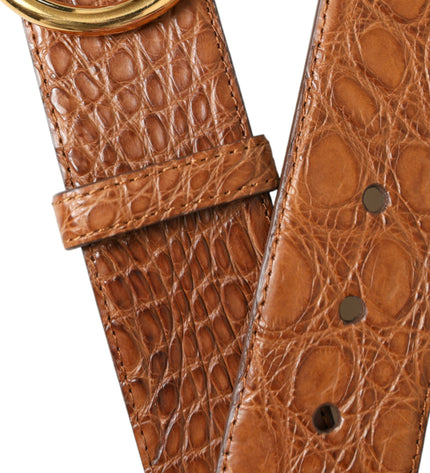 Dolce & Gabbana Elegant Exotic Leather Belt - Rich Brown