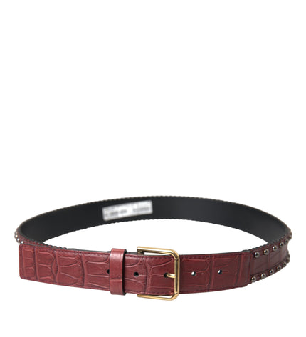 Dolce & Gabbana Brown Alligator Leather Studded Metal Buckle Belt