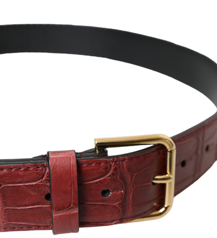 Dolce & Gabbana Brown Alligator Leather Studded Metal Buckle Belt