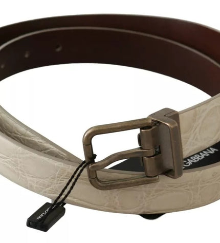 Dolce & Gabbana Cream Beige Gold Buckle Waist Leather Belt